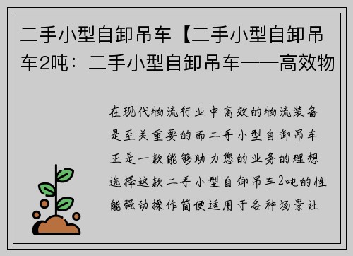 二手小型自卸吊车【二手小型自卸吊车2吨：二手小型自卸吊车——高效物流装备助力您的业务】