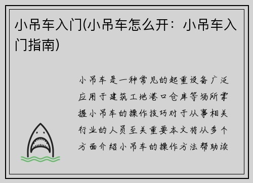 小吊车入门(小吊车怎么开：小吊车入门指南)